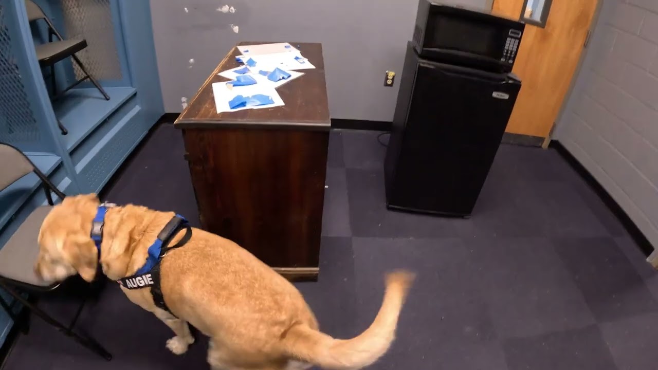 Lakewood,NJ NW3 - Interior 2