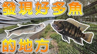 【紀錄】新北市大漢溪路亞發現新釣點新郵票Lure Fishing 