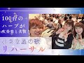 小さな星の歌 吹奏楽カラオケ ハープの日 スペシャルコンサート