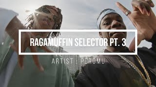 Dancehall Reggae) Ragamuffin Selector Pt.3 - Peromu - YouTube