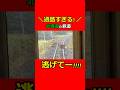 【危険】JR北海道の鉄道旅行は鹿だらけ!衝突寸前!過酷すぎる普通列車の旅! #鉄道 #北海道 #ローカル線