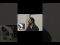 Домашние лисы Дмитрия Беляева | Роберт Сапольски #генетика #днк #селекция #shorts