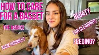 Basset Hound Care Basics by CShawty Hill 23,556 views 3 years ago 12 minutes, 47 seconds