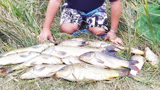 АМУРЫ
,КАРПЫ, КРУПНЫЙ КАРАСЬ НА МАКУШАТНИК.МНОГО РЫБ......