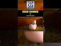 📽️ Vertical Short: &quot;Eggs Change&quot; by by Hee Won Ahn | TheCGBros