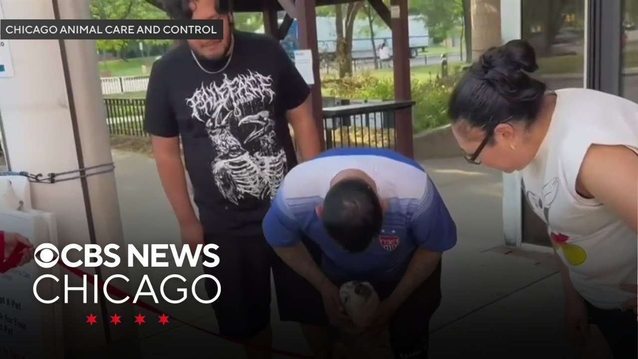 Dog reunites with family after being missing for 3 years - YouTube