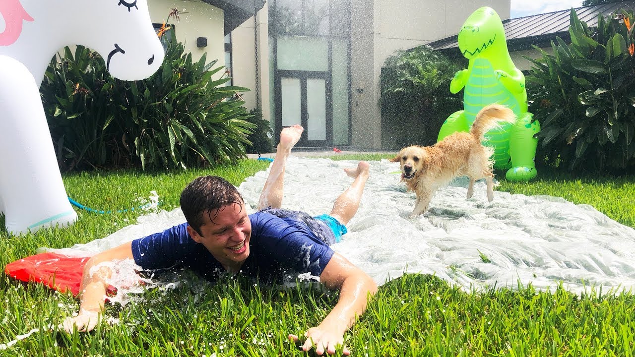 DOG PLAYS ON SLIP AND SLIDE - YouTube