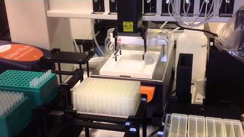 Beckman Coulter  ELISA workflow on Biomek NXp span 8