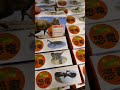 アニア？みたいな恐竜フィギュアが沢山売られてたよ！　Dinosaure figure at Japanese toy store