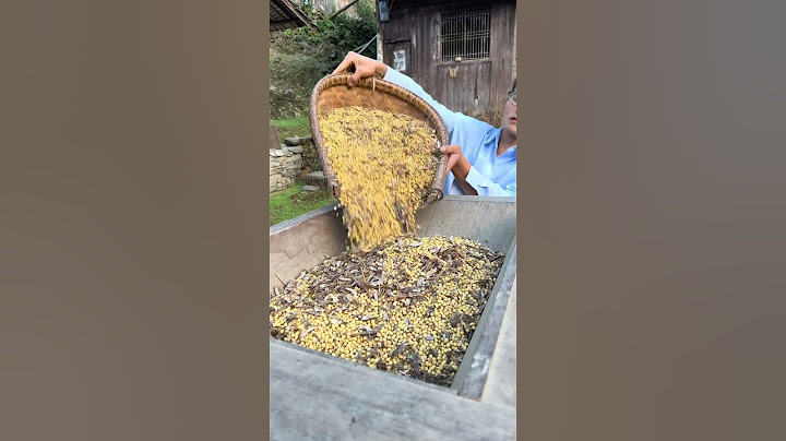 今天我来给三嬢打豆子，三嬢的几个孩子都在外面工作，一个人在家里生活，腿脚也不方便，种了很多庄稼，老一辈舍不得土地放荒、现在农村的人越来越少了，只希望这个社会，慢慢从城市向农村过渡，带动农村，带动经济