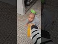 siram kucing pakai gelas viral #shorts #funny #comedy #trending #subscribe #cat #lucu