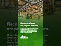 Fiecare business are propriul consum | IGF Grup ⚡