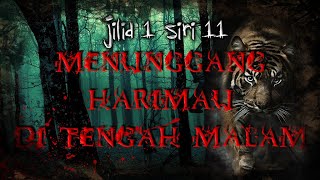 REUPLOAD - Tamar Jalis - SiriBercakapDenganJin - Jilid 1 - Siri 11 MENUNGGANG HARIMAU DITENGAH MALAM