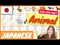 【Animal】in Japanese どうぶつ/動物 | Japanese vocabulary