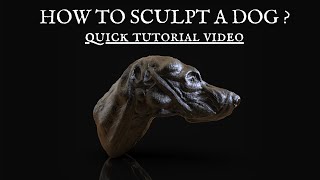 Quick Dog Sculpting in ZBrush | Timelapse Video Quick Dog Sculpting in ZBrush | Timelapse Video