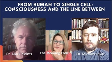 Mark Solms and Michael Levin discuss Consciousness, Cognition and Opponent Processing