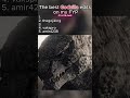 These Godzilla Edits Are INSANE #fyp #shorts #edit #godzilla #gojira #edits #viral