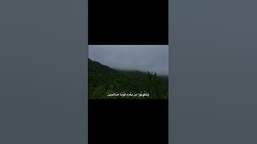 اقْتُلُوا يُوسُفَ🤍✨️#القرآن_الكريم #تاااابع #تلاوة #خشوع #سورة_يوسف #آية #الحرم_المكي #المصحف