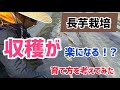 【長芋栽培】 長芋の収穫が楽になる栽培方法を考えてみた【髭サン農家】