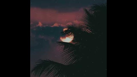 تلاوة تفوق الخيال من سورة يوسف