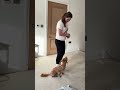 Service dog gets haircut 🐶