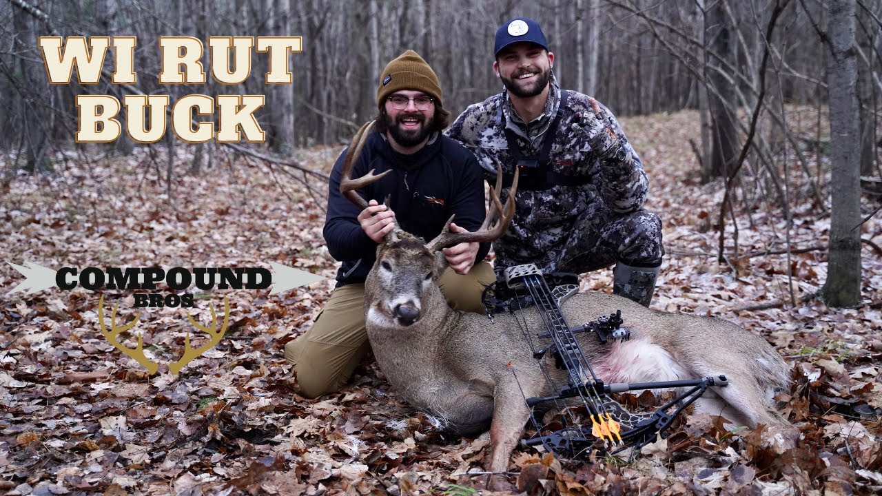 Dogs Rutting WI RUT BUCK DOWN!! DOG TRACKING JOB - YouTube