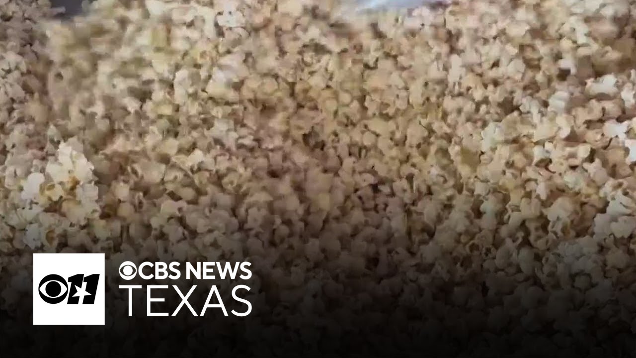 How a side hustle turned into a State Fair of Texas favorite