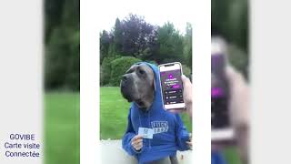 Partager Vos Données En Un Seul Geste Émouvant Avec La Carte De Visite Connectée Govibe