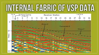Investigating the Internal Fabric of VSP Data with Attribute Analysis and Unsupervised ML