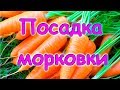 Семья Бровченко. Как экономно и удобно сажать морковь. (06.17г.)