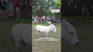 Austin has thrown a birthday party for a cartoon donkey every year since 1963  #austin