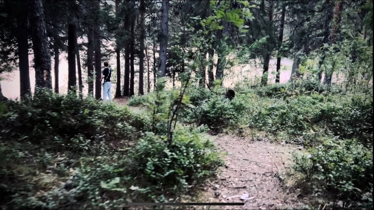 Antipole & Ja'kob - Walk With Me (ft. Pedro Code)