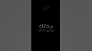 سورة الأنفال:الآية[٤٩] #قران #ياسر_الدوسري #تلاوات #سورة_الأنفال #quran