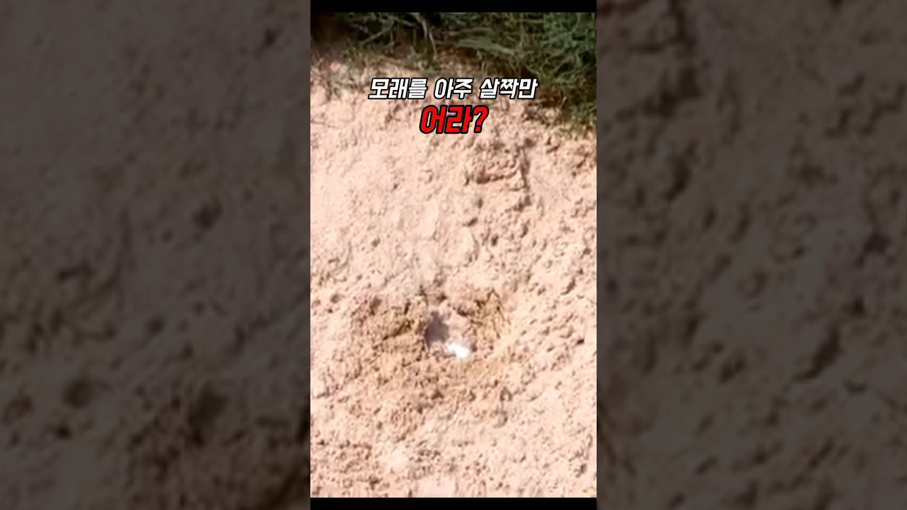벙커에 빠졌을때 팁 #골프