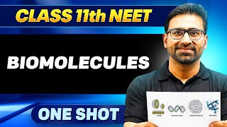 Biomolecules In One Shot  All Concepts Tricks U0026 Pyq  Ummeed Neet