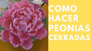 Peonias Cerradas