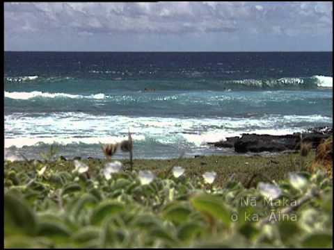 The Caretakers of Ka Lae (TRAILER)