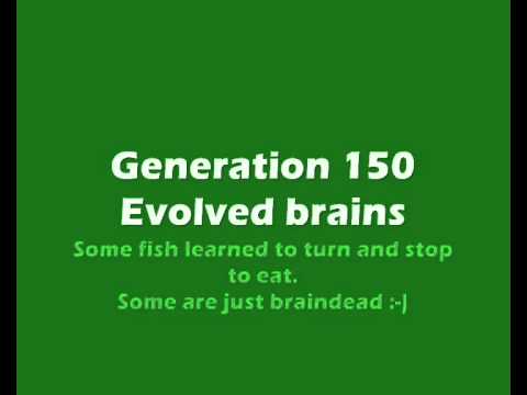 Evolving neural networks - fish learning to gather food