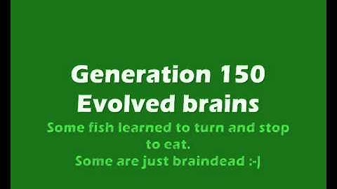 Evolving neural networks - fish learning to gather food