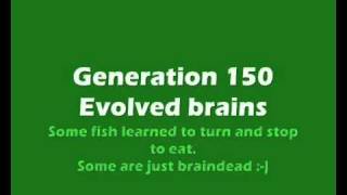 Evolving neural networks - fish learning to gather food