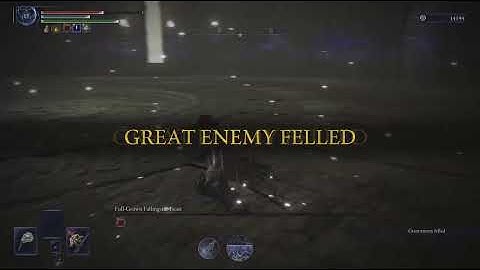 Thx Fromsoft | another bug | Nightreign