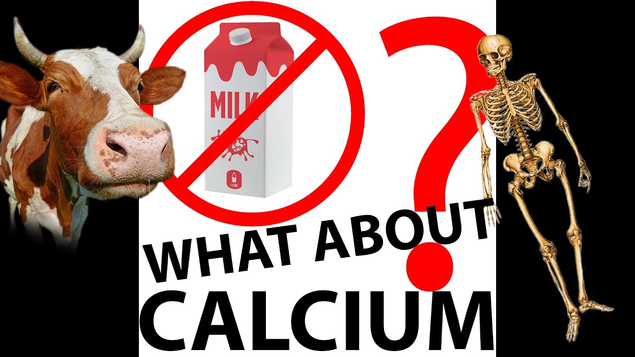 Milk & Calcium How to Replace it when going Plant Based or Vegan