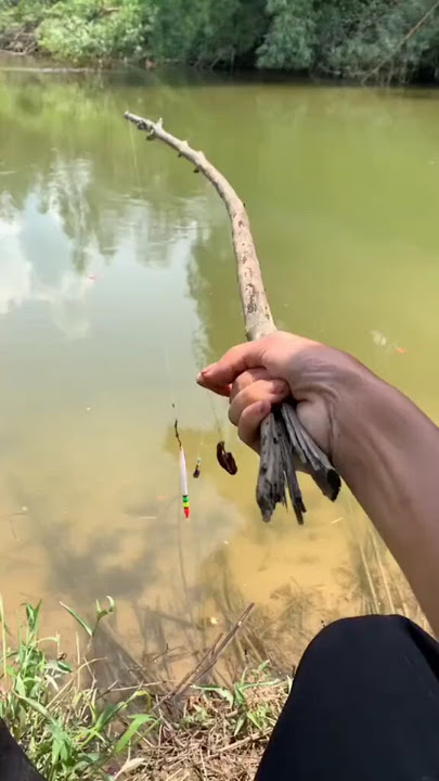 mancing ikan di sini auto gacor parah