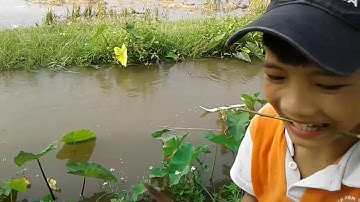 [Guồng nước] đem bản sắc dân tộc tây bắc về với quê lúa