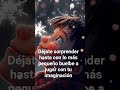 La imaginación es ese nivel de creación los límites están en tu mente