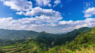 Download Lagu Music for meditation Big Tree | Qigong practice 1 hour MP3