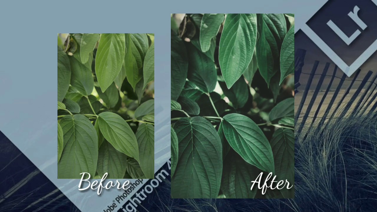 Tutorial Color Moody Dark Green lightroom mobile + Free ...