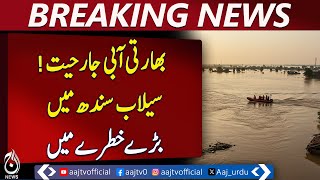 Indian Water Aggression Puts Sindh at Major Flood Risk - Pakistan News