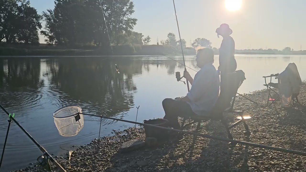 Pescuit și relaxare-mrenuțe pe Mureș la Arad 