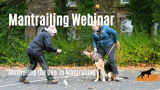 Motivating the Mantrailing Dog